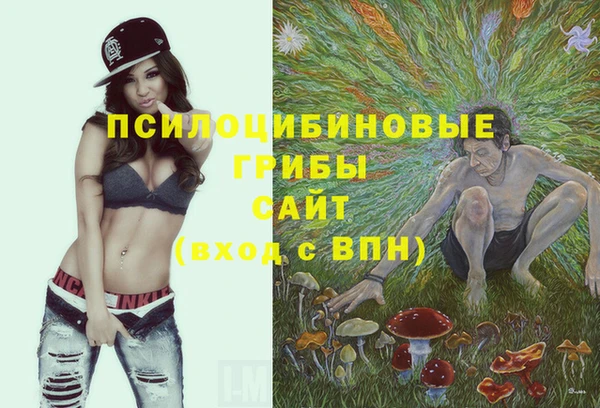 a pvp Абинск