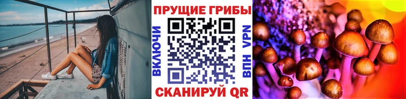 Галлюциногенные грибы MAGIC MUSHROOMS Липецк