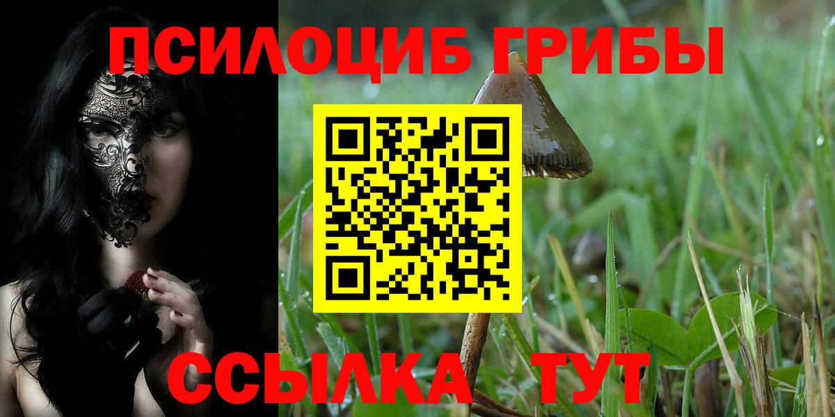 Липецк  Псилоцибиновые грибы MAGIC MUSHROOMS  Вход с VPN  Псилоцибиновые грибы Psilocybine cubensis 