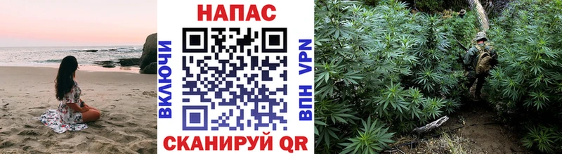 купить наркотик  МЕГА tor  Бошки Шишки индика  Липецк 